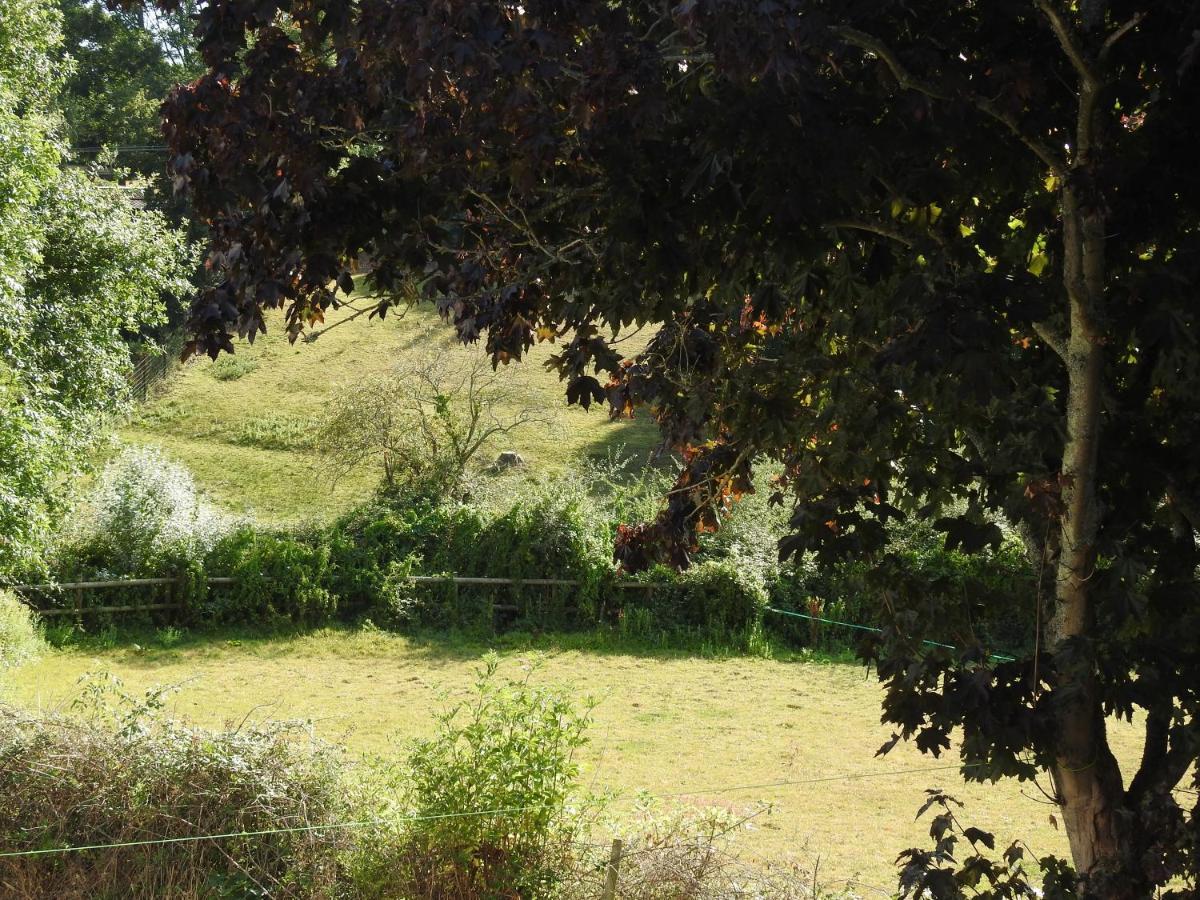 The Shed @ Stares Farm Cottage Shedfield Εξωτερικό φωτογραφία